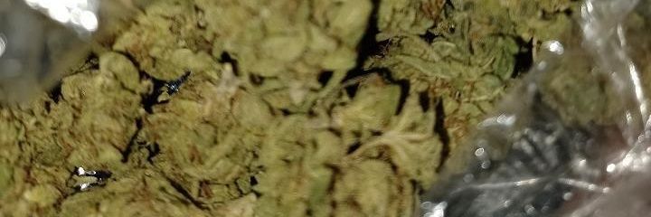BIGGRIXH's profile banner image