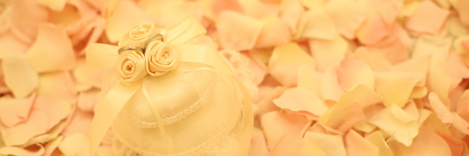 SJ_C7's profile banner image