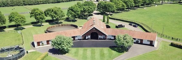 NatStudStallion Profile Banner