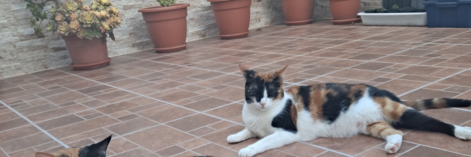 Marisol_malaga's profile banner image