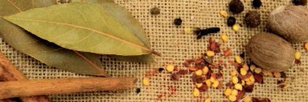 jorgepinto671 Profile Banner