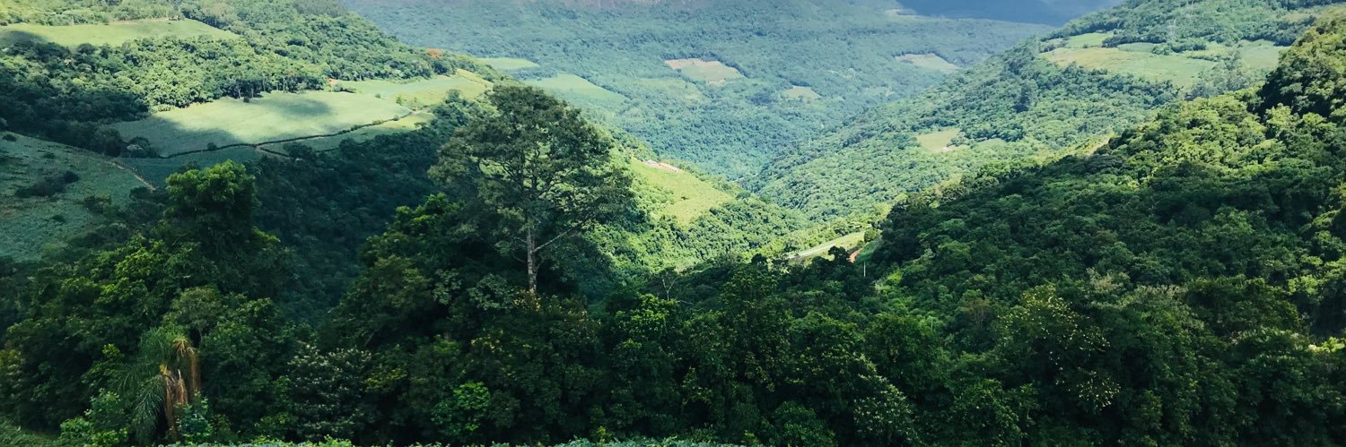 MMBarksdale's profile banner image