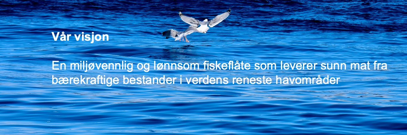 Fiskebåt banner
