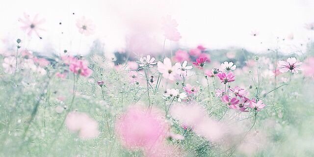 alaseef09's profile banner image