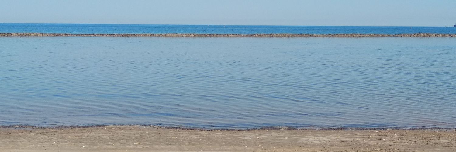 Esther Soria banner
