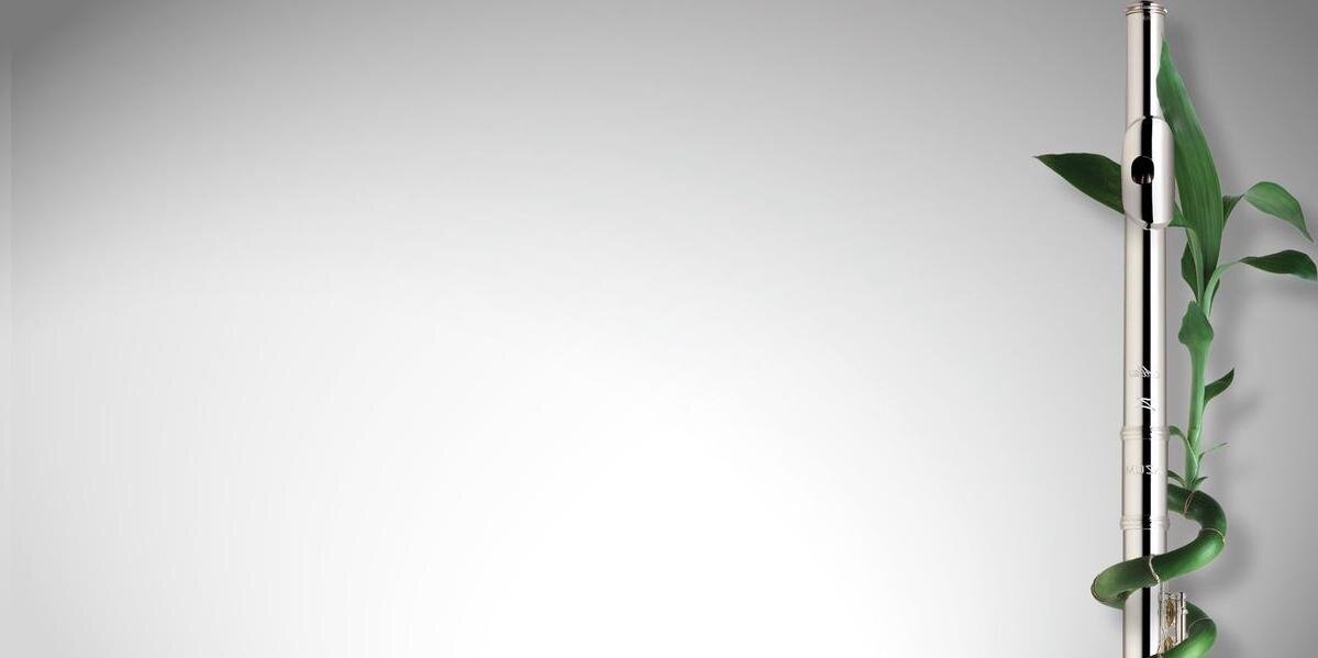 Missmelflute's profile banner image
