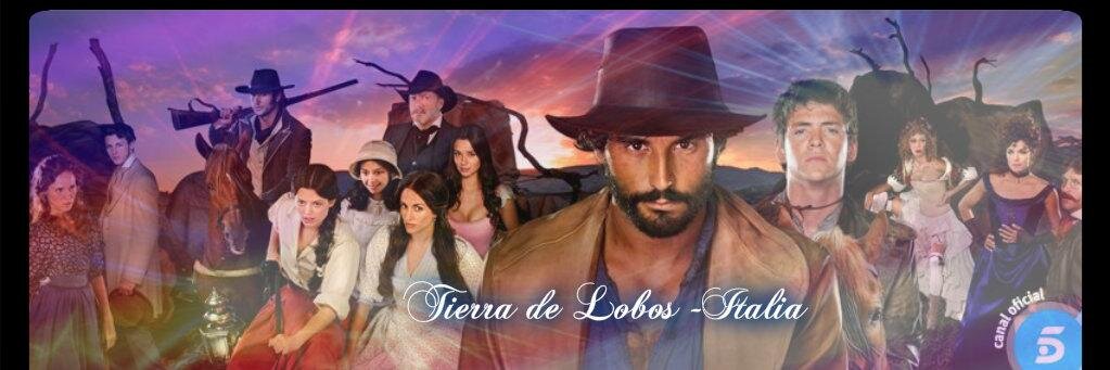 TDLItaliaFans's profile banner image