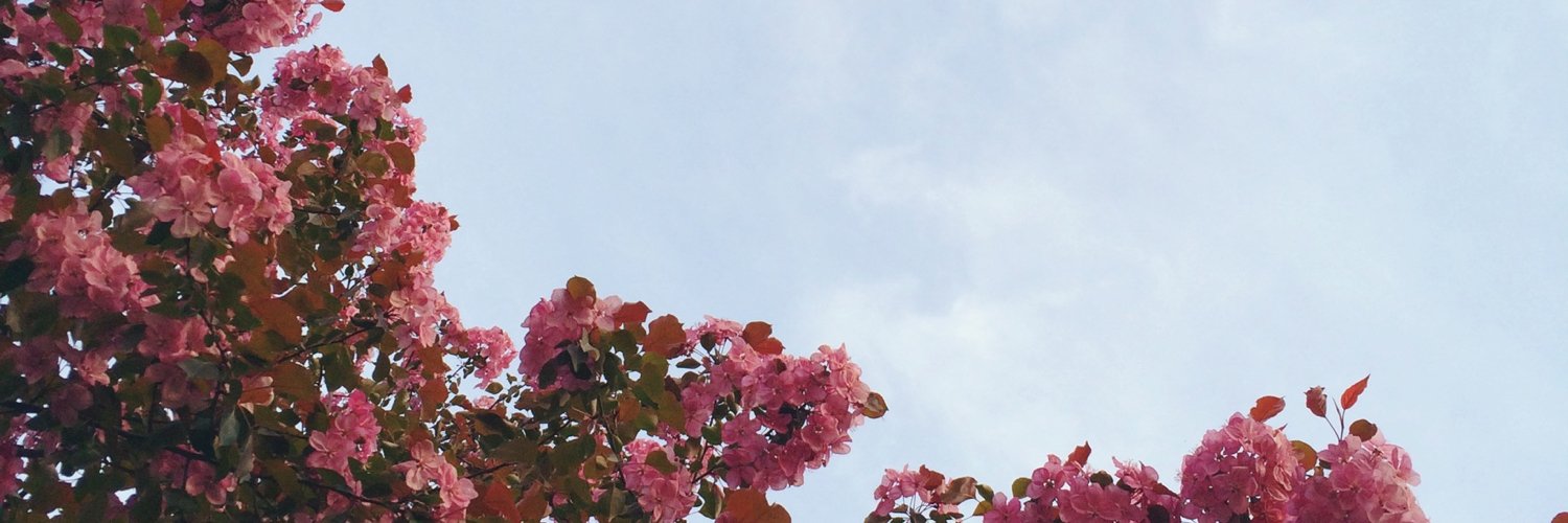 Rachelskirts's profile banner image