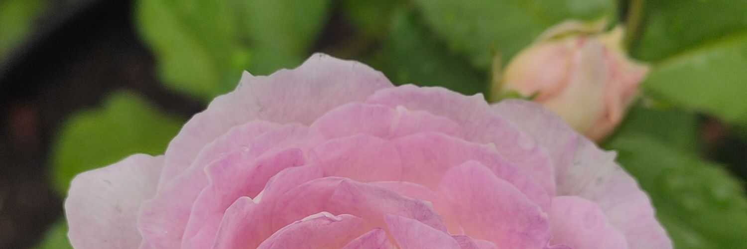 ekawlan's profile banner image