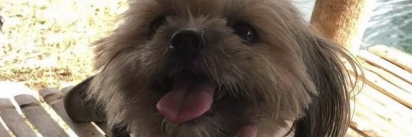 HustinaKayla's profile banner image