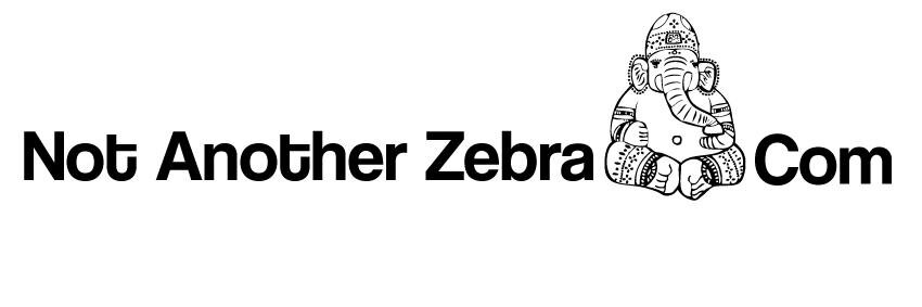 NotAnotherZebra's profile banner image