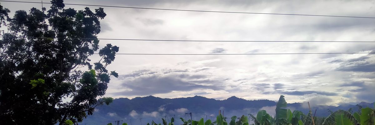KCTalaid2002's profile banner image