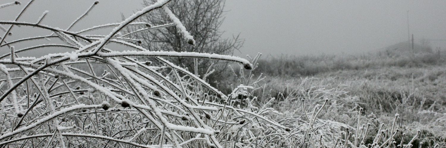 PoshDogg's profile banner image