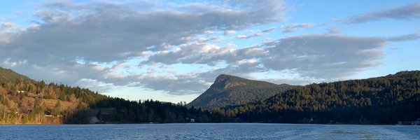 scrabtree Profile Banner