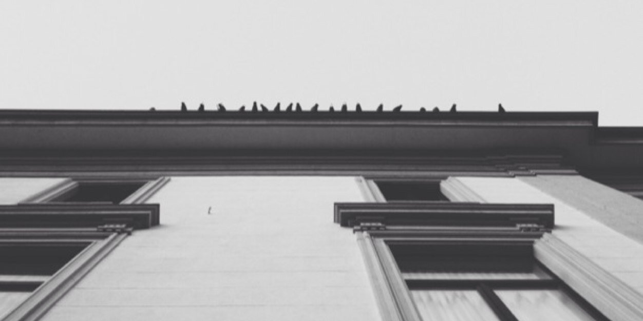 erayalan's profile banner image