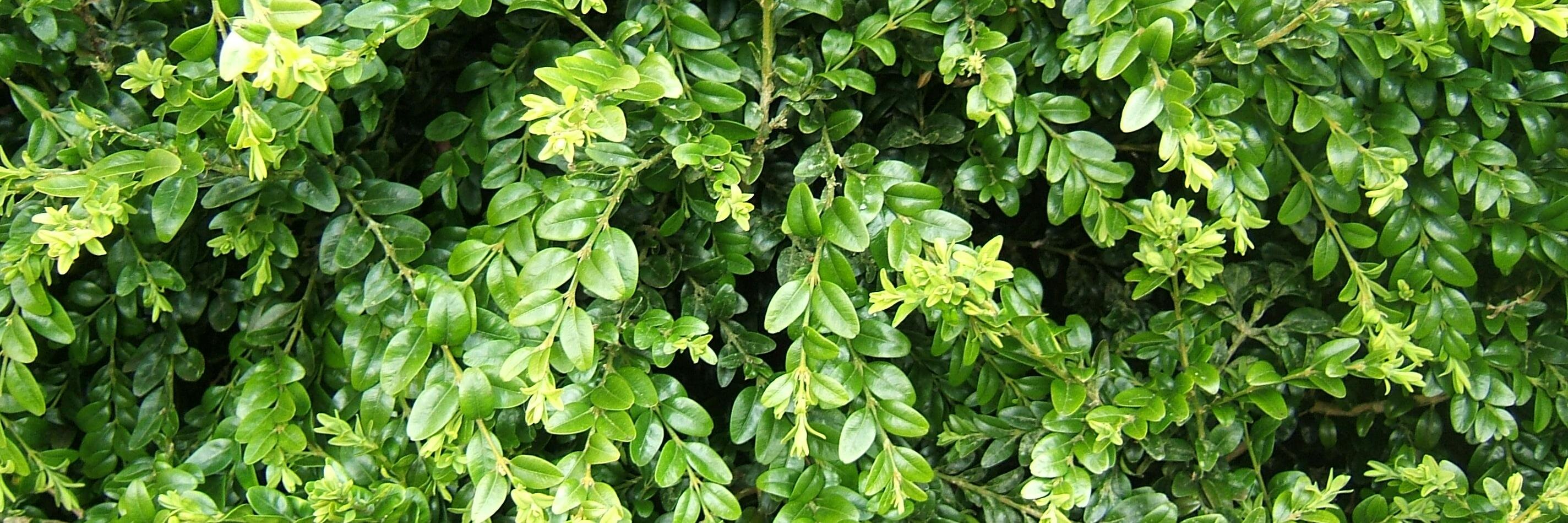 louise lomax💙 banner