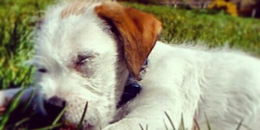 Brianfriel1's profile banner image