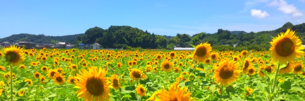 2mhpHt's profile banner image