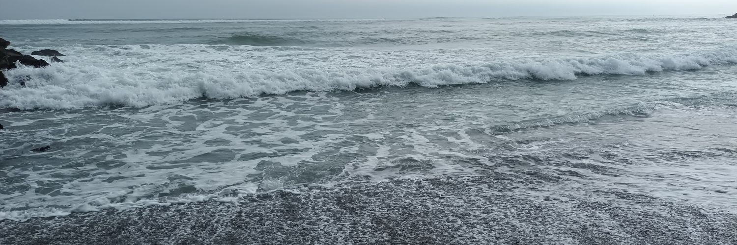 LuInchaustti's profile banner image