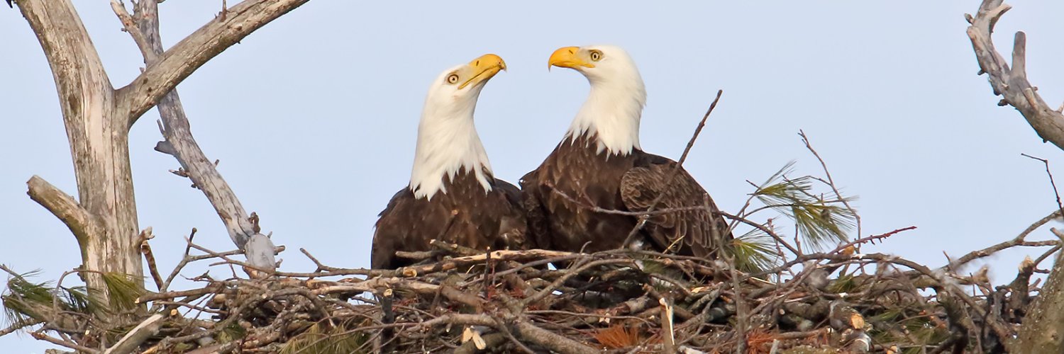 U.S. Fish and Wildlife Service banner