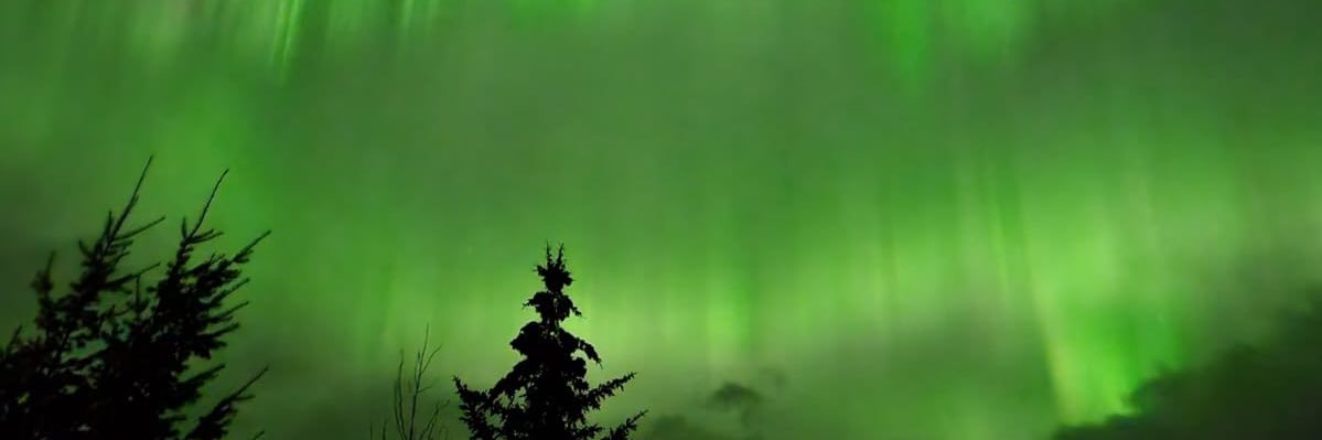 Anthony Di Monte banner