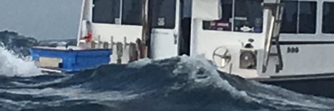 Dave Carraro banner