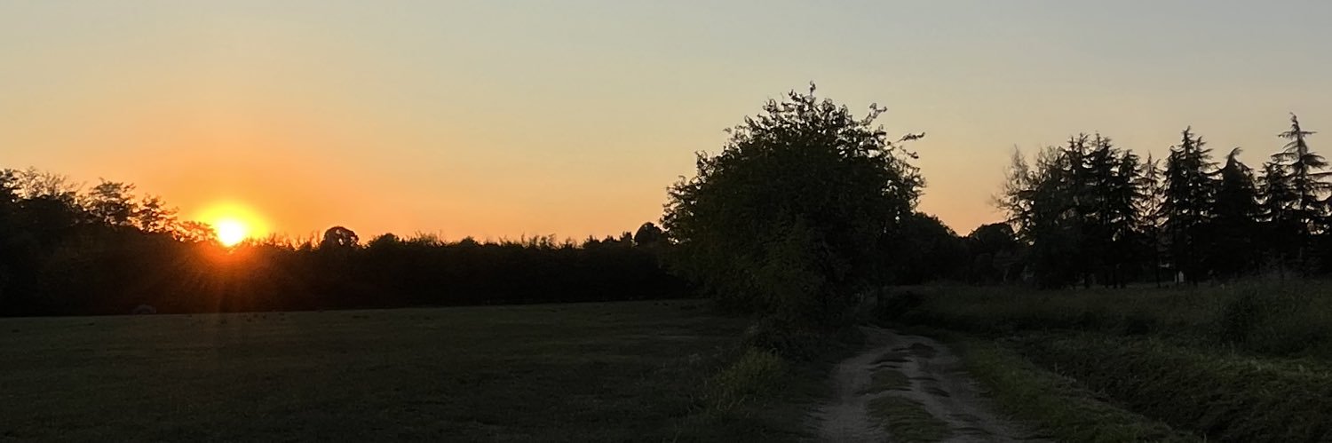 georgepreg's profile banner image