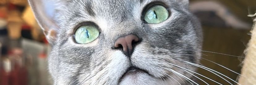 izesbaby's profile banner image