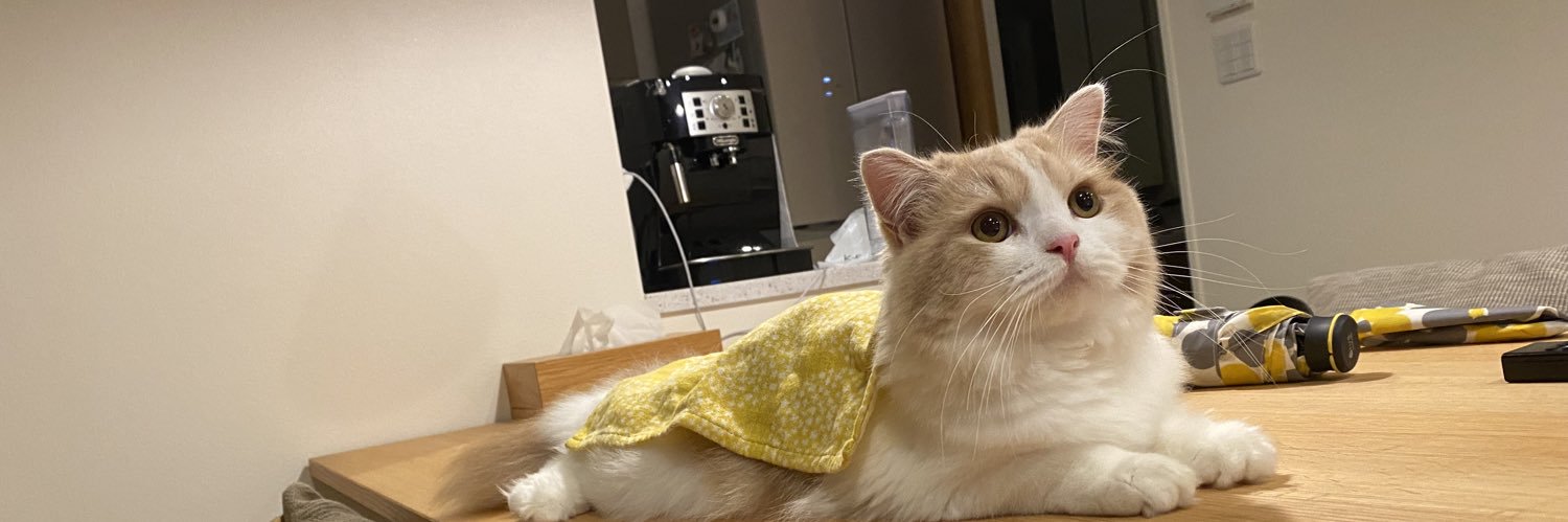 shimoooooooooo_'s profile banner image