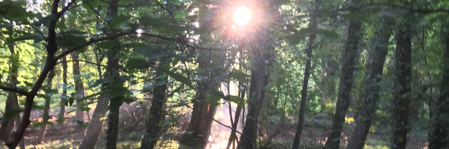 Steven Strike! Strike!! Strike!!! French banner