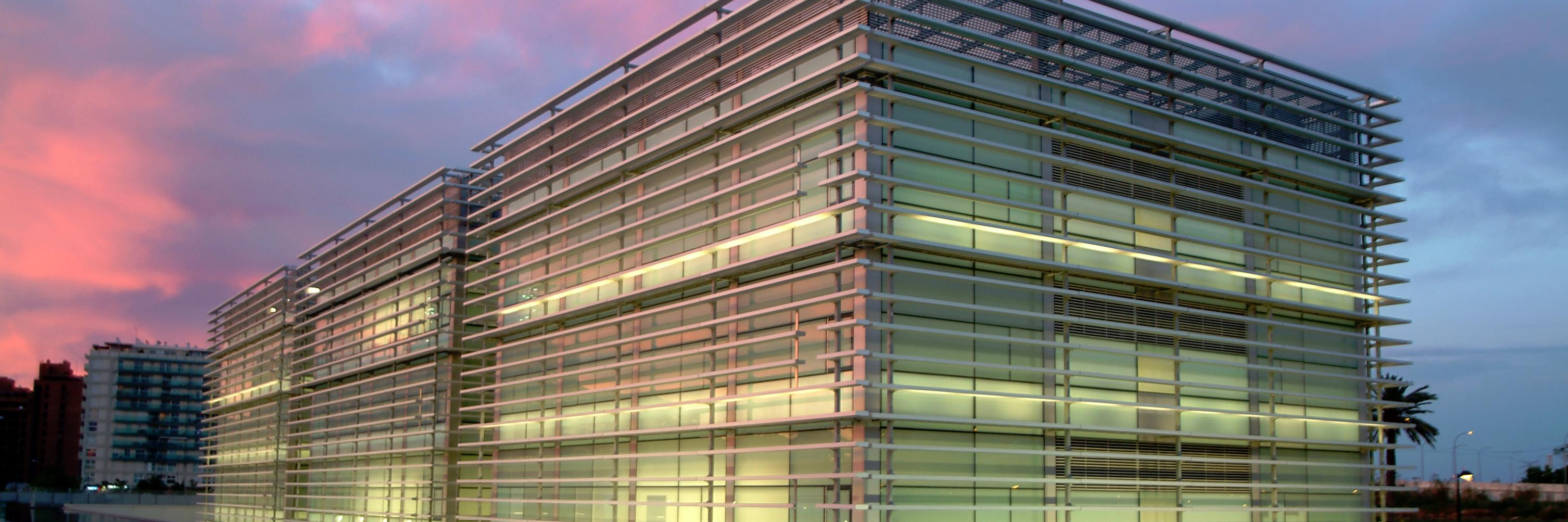 CIPF's banner
