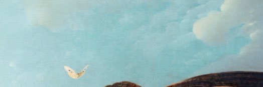 NoKiuy's profile banner image
