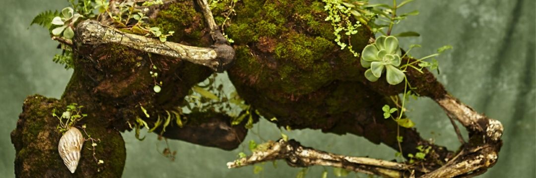 xikaria_'s profile banner image