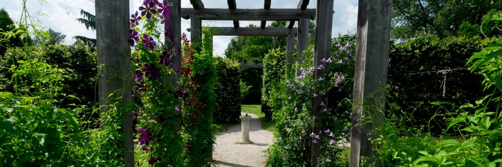 GuelphHort's profile banner image