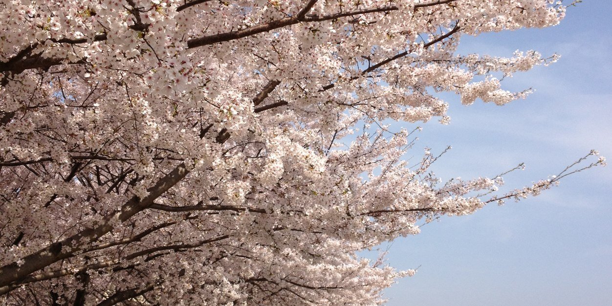4_536's profile banner image