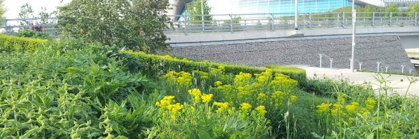 madaboutplants Profile Banner