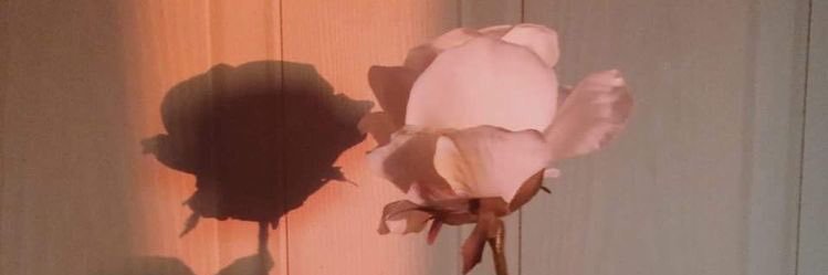 nasimkhd's profile banner image