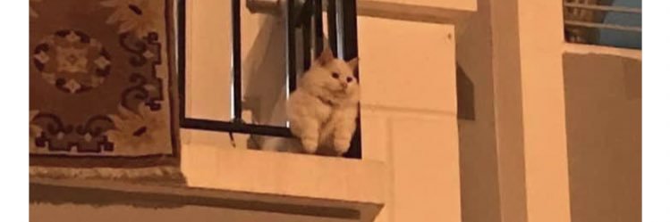 @ruralrighton.bsky.social banner