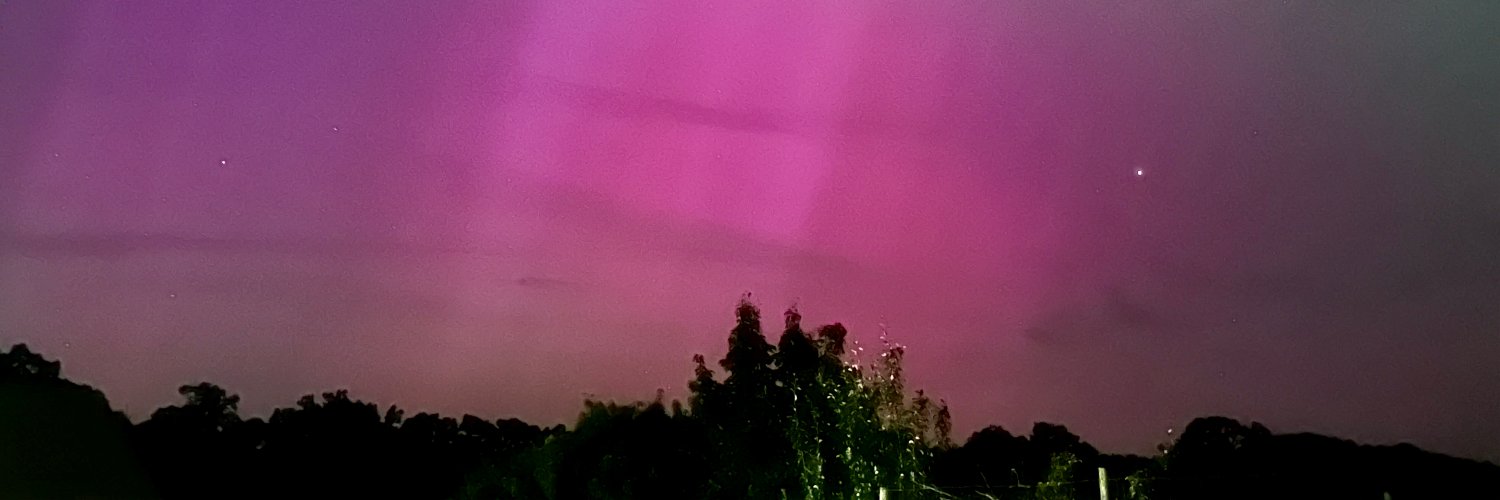 kellsoridic's profile banner image