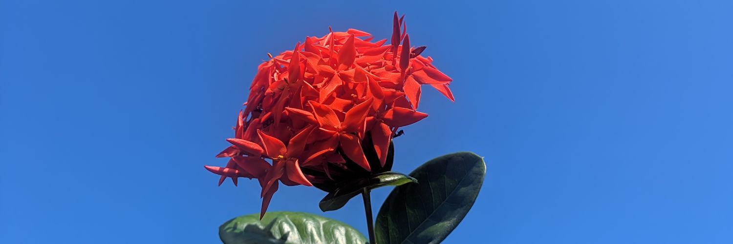 dannybritto's profile banner image