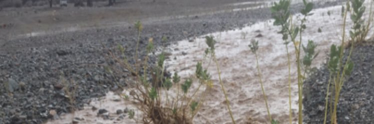 وناسة الخاطر 🤳 banner