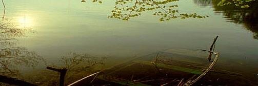 Stechlin_'s profile banner image