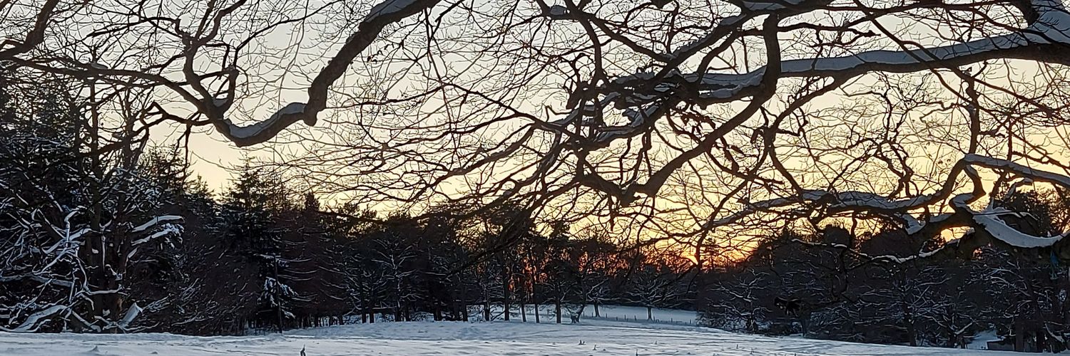 BeckyJDuff's profile banner image