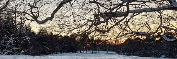 BeckyJDuff Profile Banner