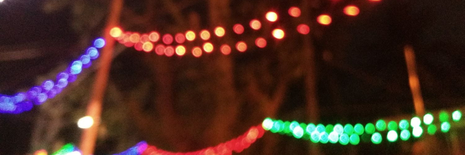 boat_of_bones's profile banner image