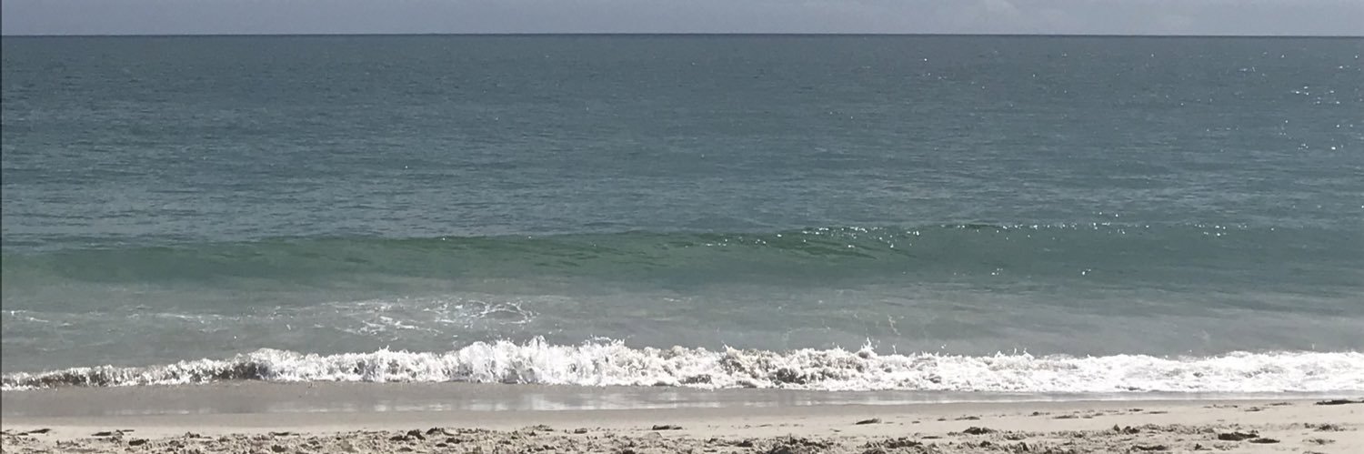 Stephanie Fischer banner