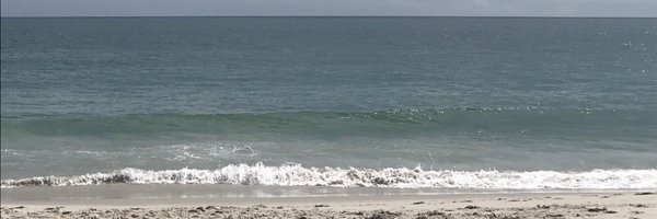 RarePOV Profile Banner