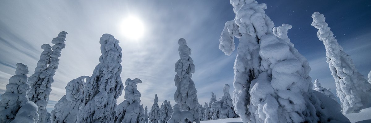 Chaloff's profile banner image