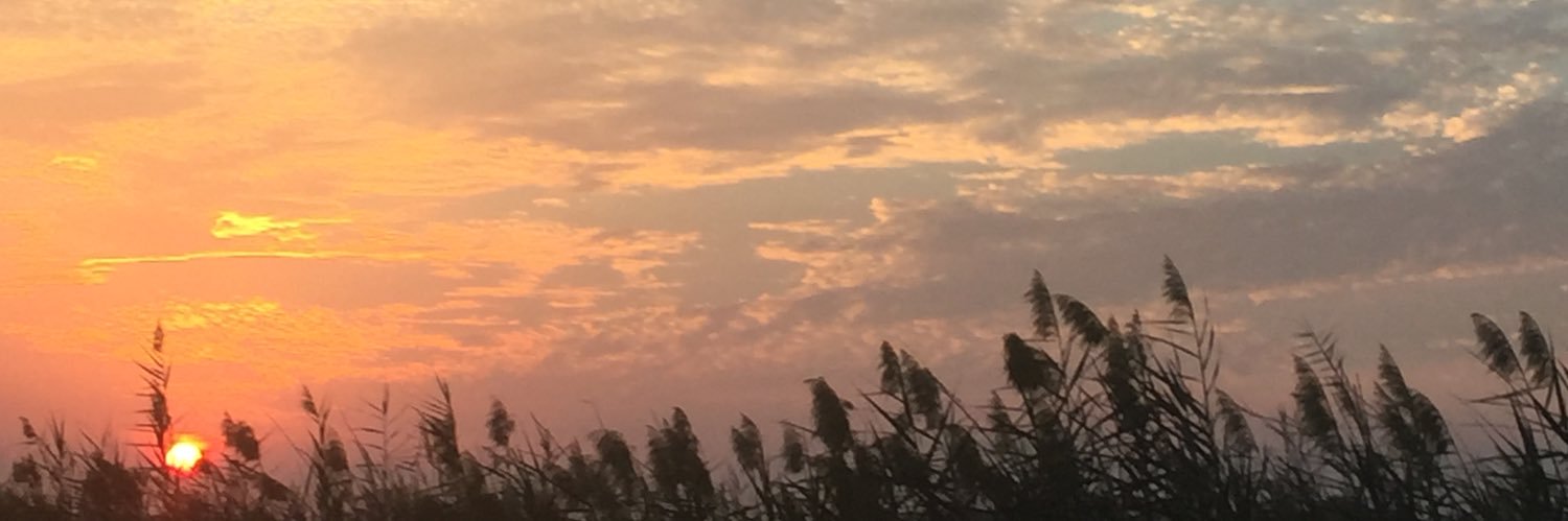 khm50's profile banner image