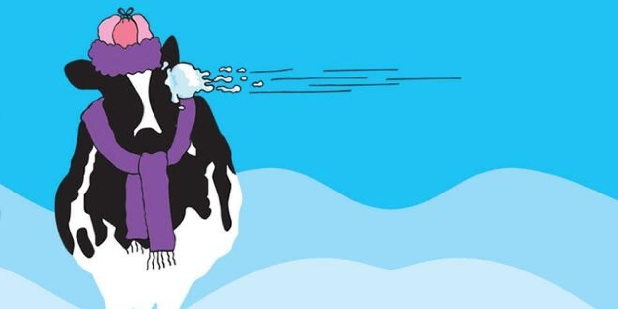 TCCicecream's profile banner image
